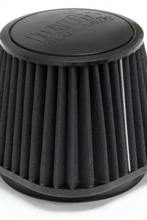 Banks Power 03-07 Dodge 5.9L Ram Air System Air Filter Element - Dry Holiday Sale