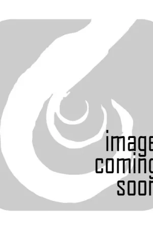 Injector Dynamics ID F750 Fuel Filter Exclusive