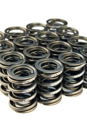 Money Back Guarantee BLOX Racing Valve Springs for F20C/F22C (2.0L-2.2L DOHC VTEC) — PMD Premier Motoring Development