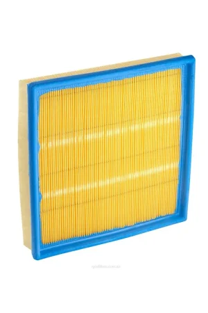 In Demand Ryco Air Filter - A1480