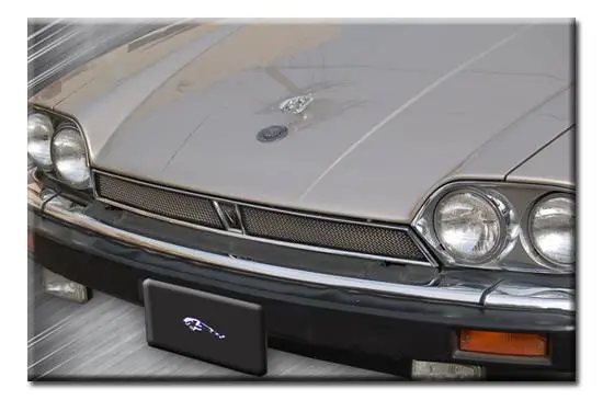 Mesh Grille Insert Bargain