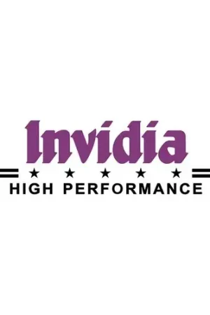 Invidia Replacement O2 Outlet Donut Gasket (Evo 7-9 01-07) Special Discount