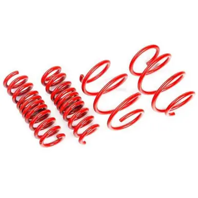 AST Suspension Tesla Model 3 SR RWD/SR Plus RWD/Mid Range RWD Lowering Springs - 40mm - ASTLS-19-311 Trusted Brand